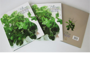 ULAM – Salads and Herbs of Malaysia